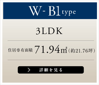 W-B1-type